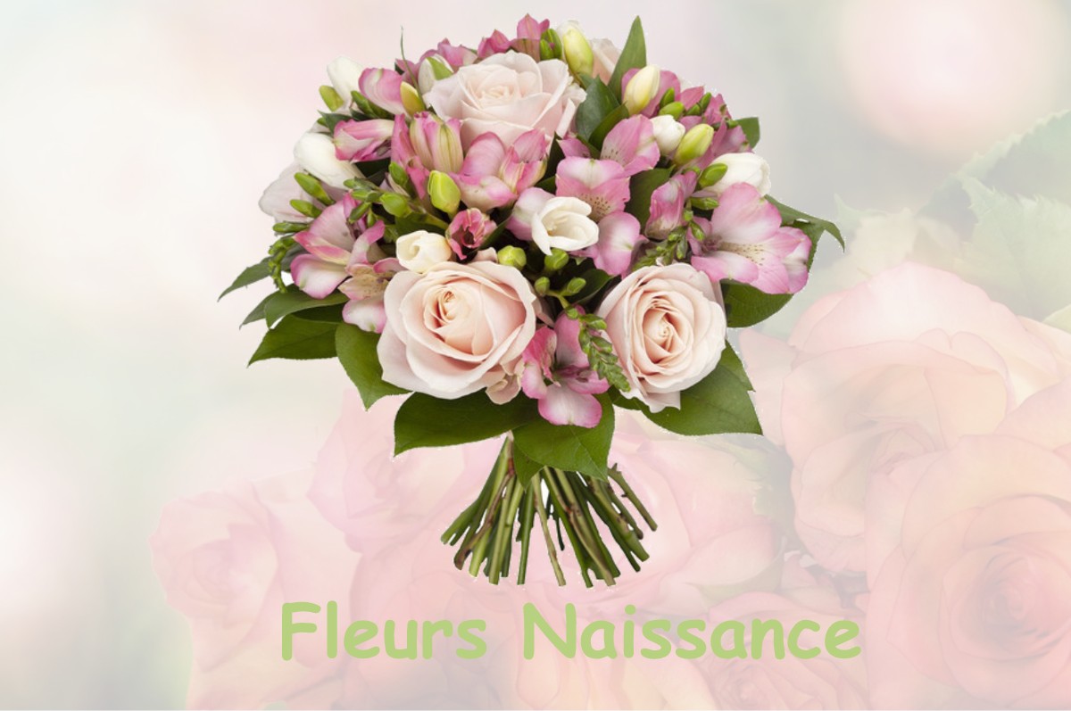 fleurs naissance FLEURY-SUR-ORNE